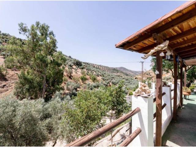 Terreno en Venta en Cuevas de San Marcos