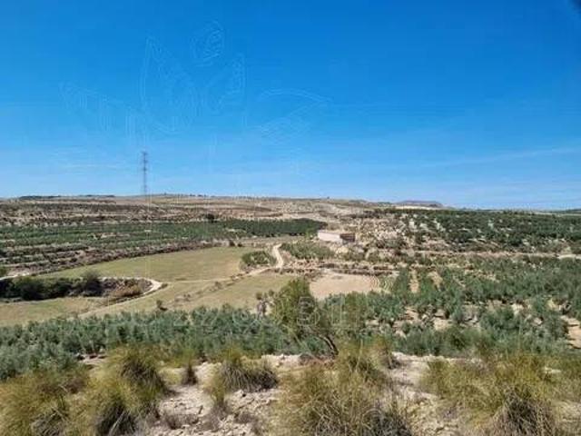 Terreno en Venta en Cuevas del Campo