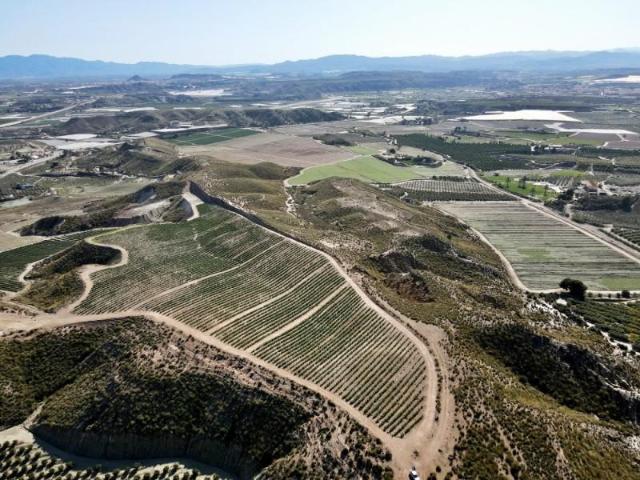 Terreno en venta en Cuevas del Almanzora, Cuevas del Almanzora Cuevas del Almanz