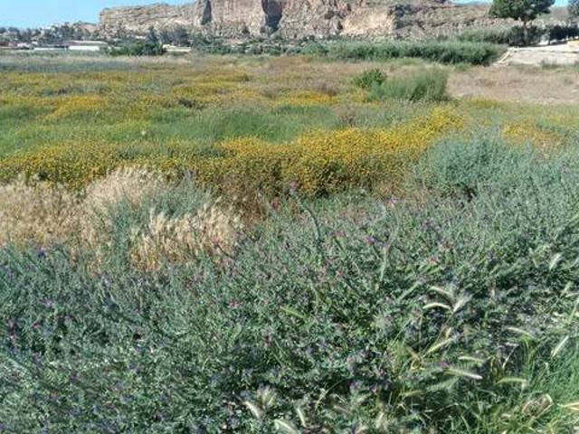 Terreno en Venta en Cuevas del Almanzora