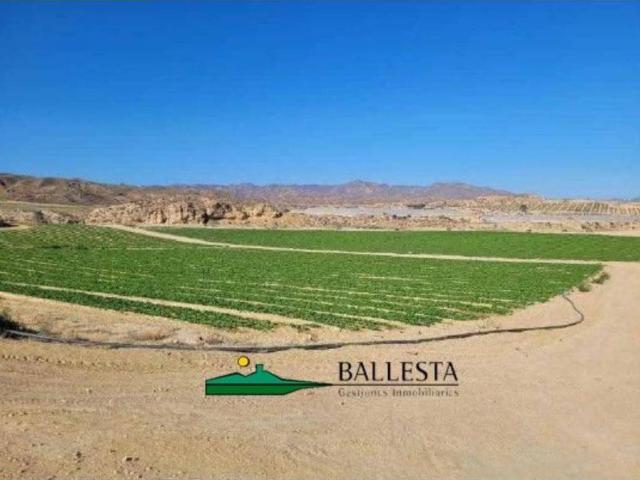 Terreno en Venta en Cuevas del Almanzora