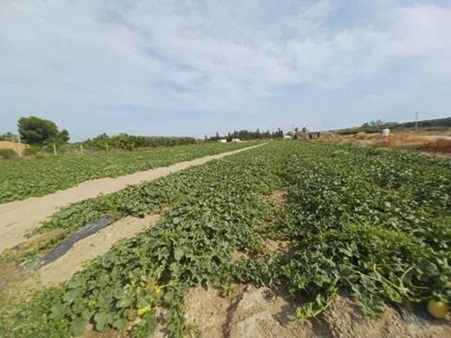 Terreno en Venta en Cuevas del Almanzora