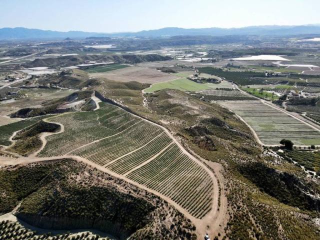 Terreno en Venta en Cuevas del Almanzora