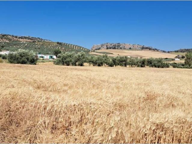 Terreno en Venta en Cuevas del Becerro