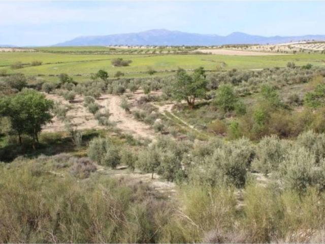 Terreno en Venta en Cúllar