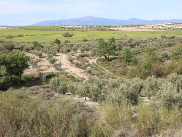 Terreno en venta en Cúllar