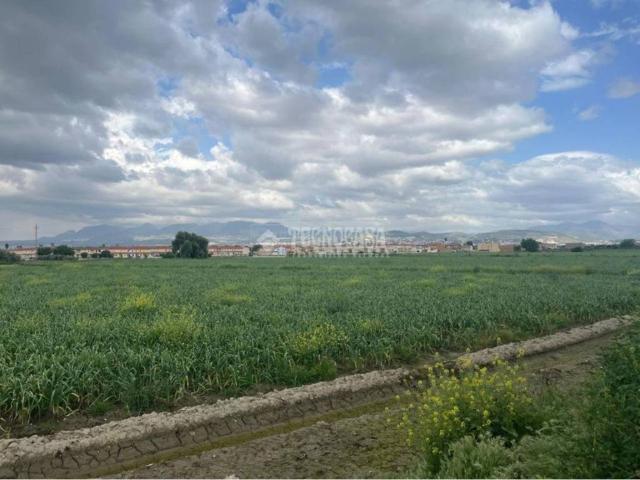 Terreno en Venta en Cúllar Vega