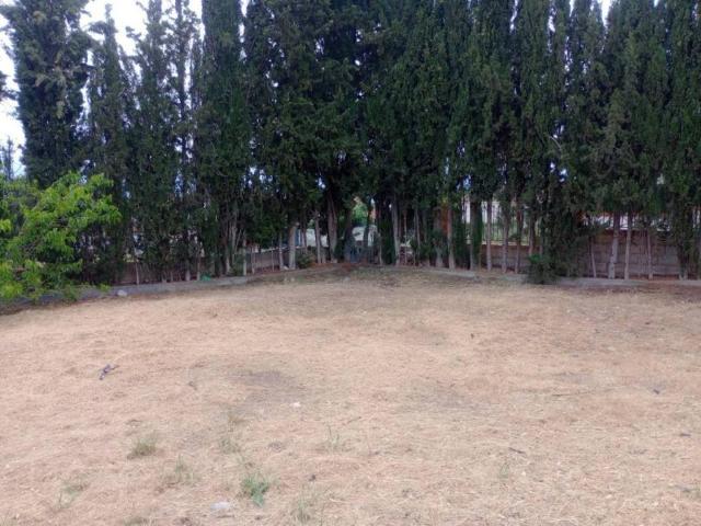 Terreno en Venta en Cúllar Vega