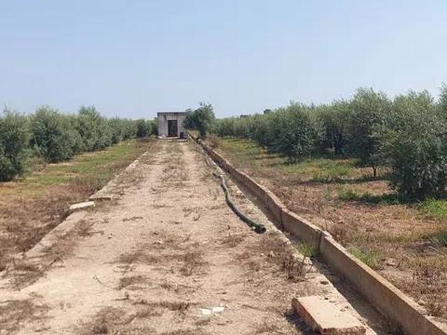 Terreno en Venta en Fortaleny