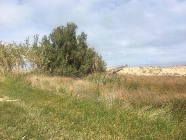 Terreno en Venta en Cullera