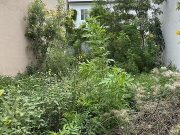 TERRENO EN VENTA EN CUMBRES ELITE