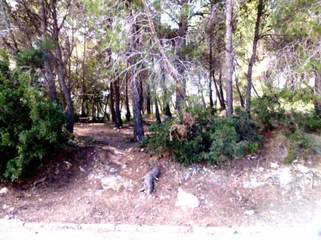 Terreno en venta en Cunit, Costa cunit