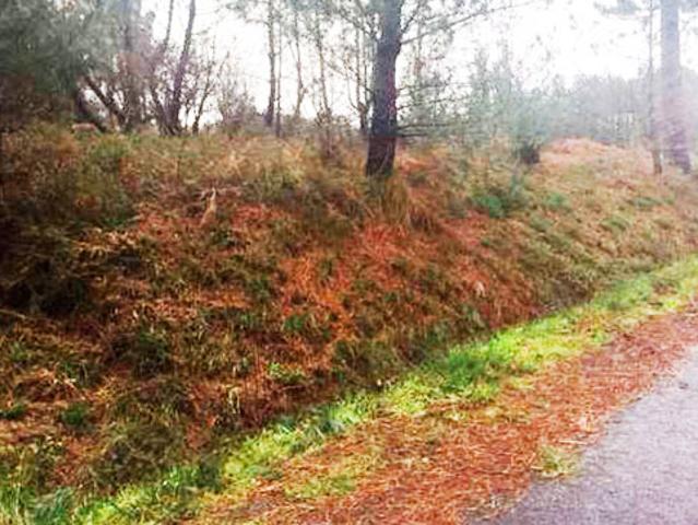Terreno en venta en Cuntis
