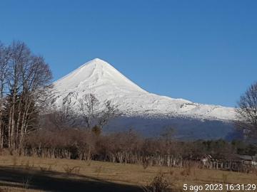 Terreno en Venta en Curacautín