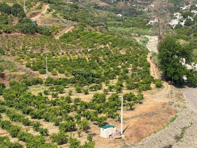 Terreno en Venta en Cútar