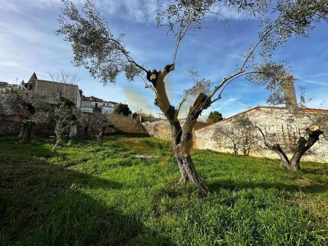Terreno en Venta en Cáceres