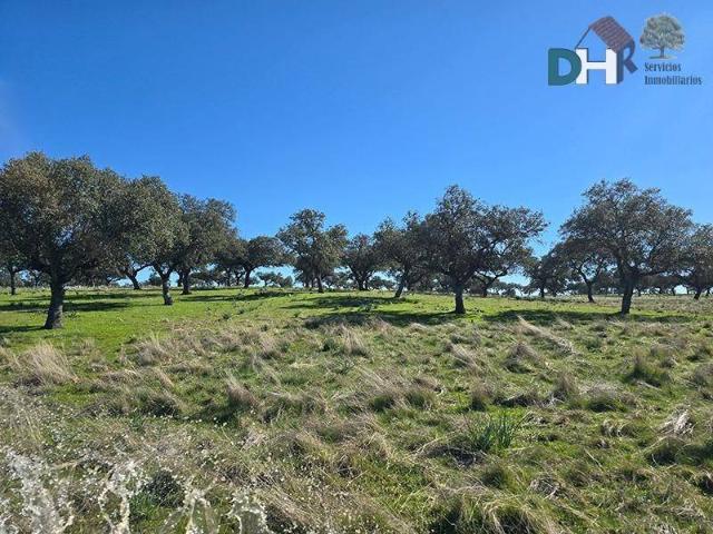 Terreno en Venta en Cáceres