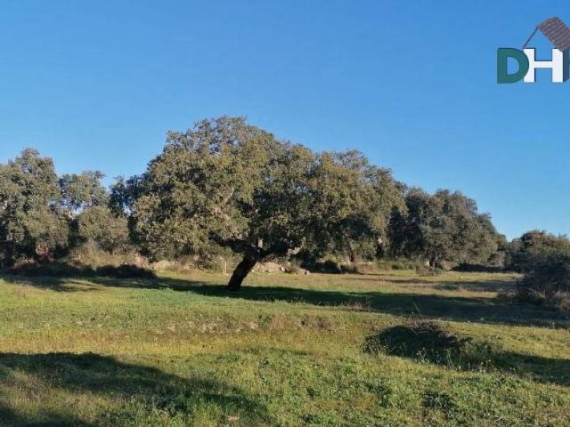 Terreno en Venta en Cáceres
