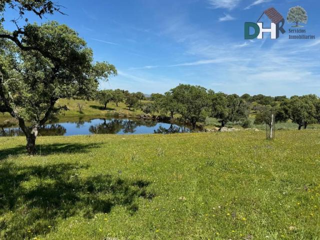 Terreno en Venta en Cáceres