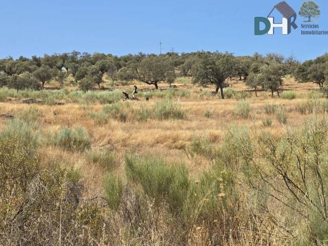 Terreno en Venta en Cáceres