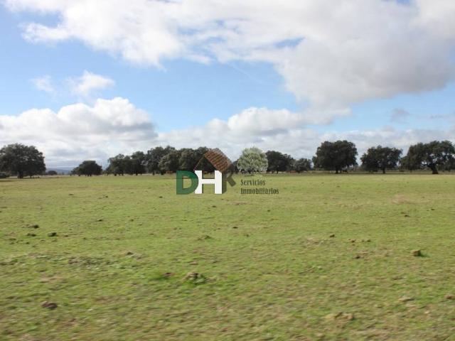 Terreno en Venta en Cáceres