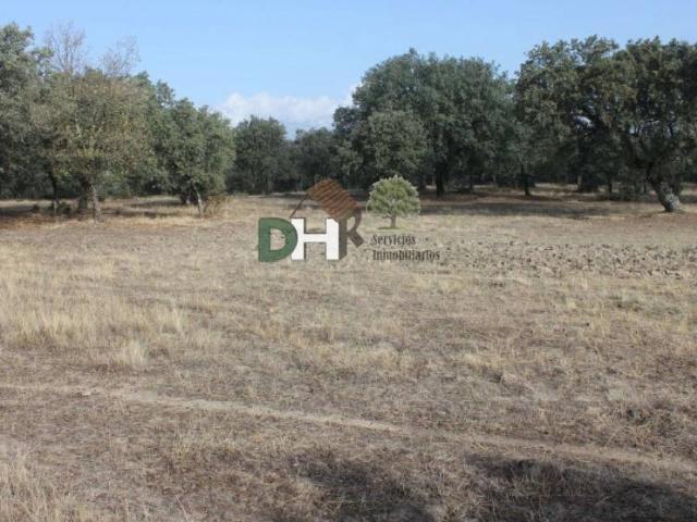 Terreno en Venta en Cáceres