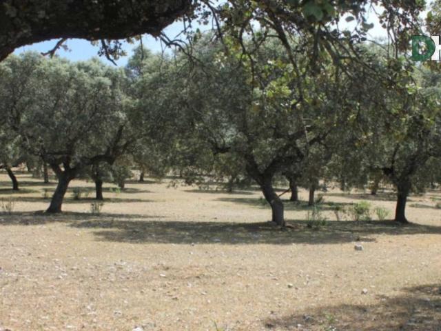 Terreno en Venta en Cáceres