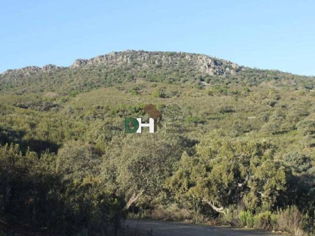 Terreno en Venta en Cáceres