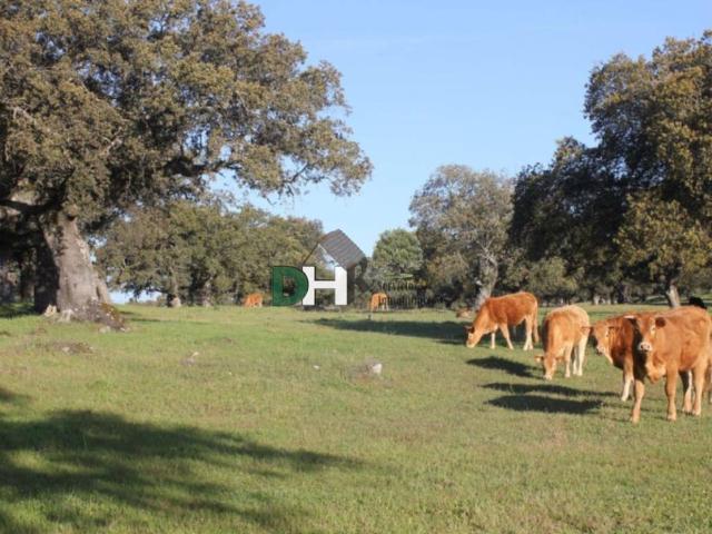Terreno en Venta en Cáceres