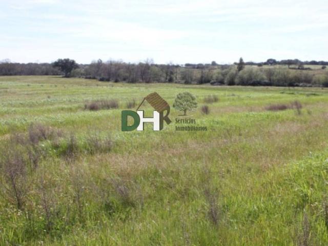 Terreno en Venta en Cáceres