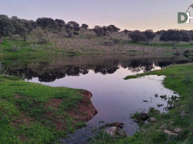 Terreno en Venta en Cáceres