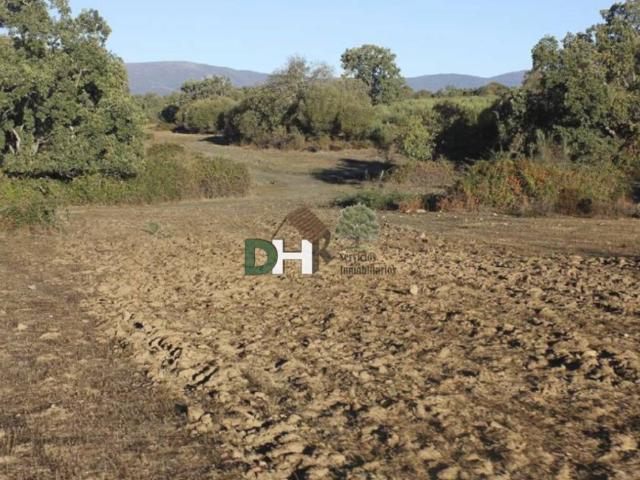 Terreno en Venta en Cáceres