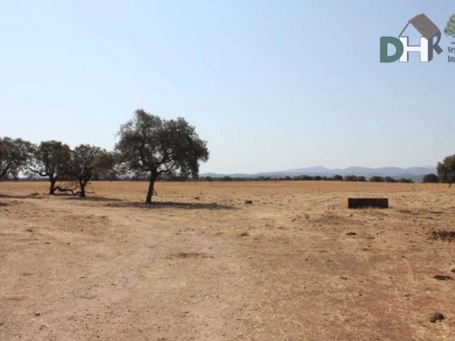 Terreno en Venta en Cáceres