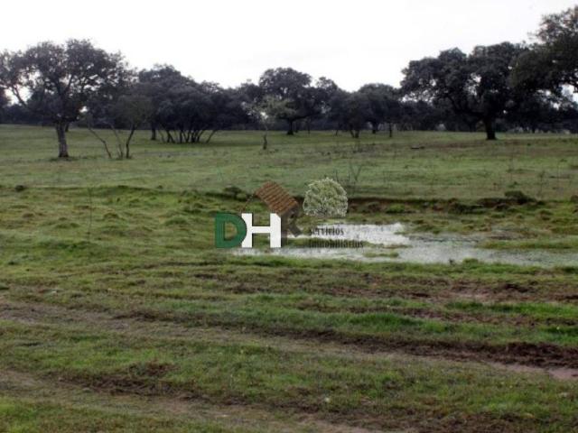 Terreno en Venta en Cáceres