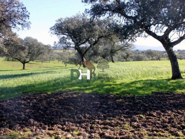 Terreno en Venta en Cáceres