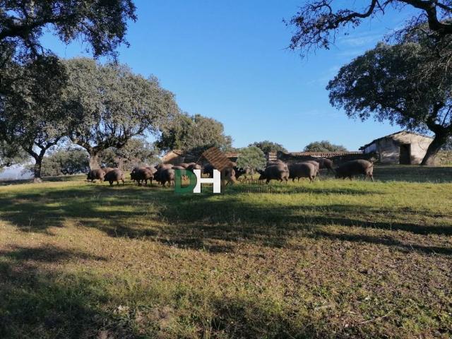 Terreno en Venta en Cáceres