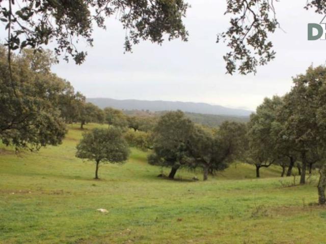 Terreno en Venta en Cáceres