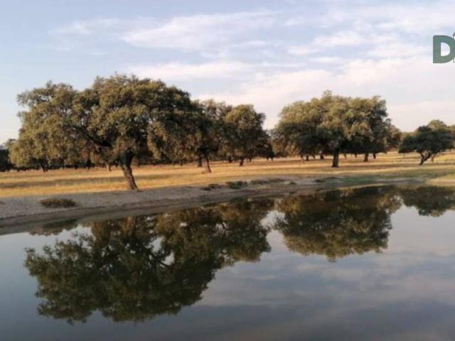 Terreno en Venta en Cáceres