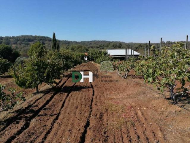 Terreno en Venta en Cáceres