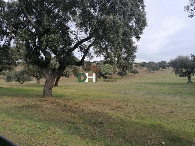 Terreno en Venta en Cáceres