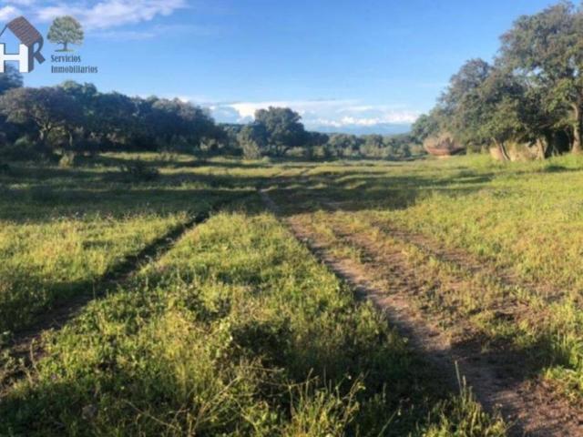 Terreno en Venta en Cáceres