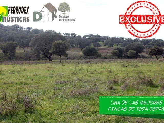 Terreno en Venta en Cáceres