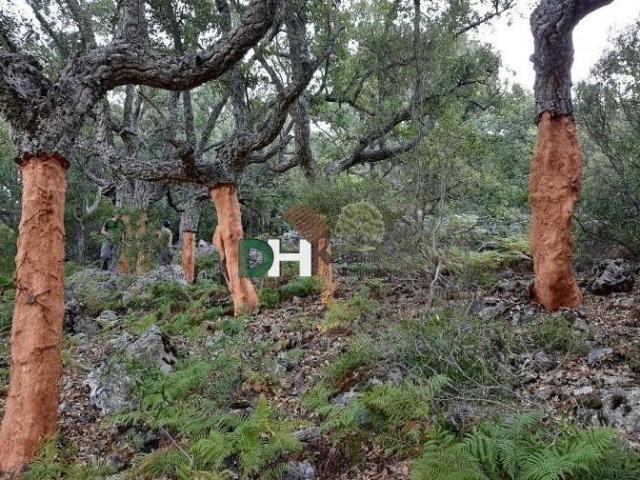 Terreno en Venta en Cáceres
