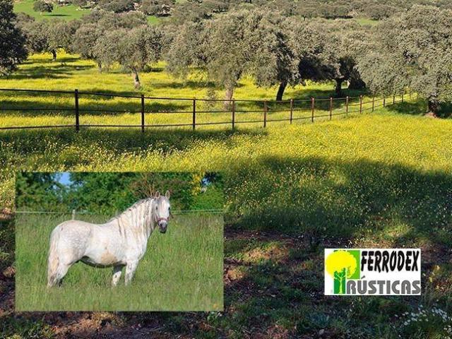 Terreno en Venta en Cáceres