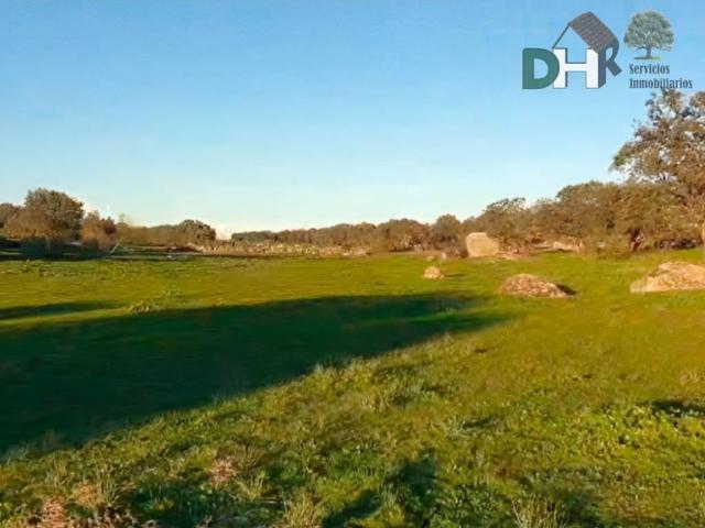 Terreno en Venta en Cáceres
