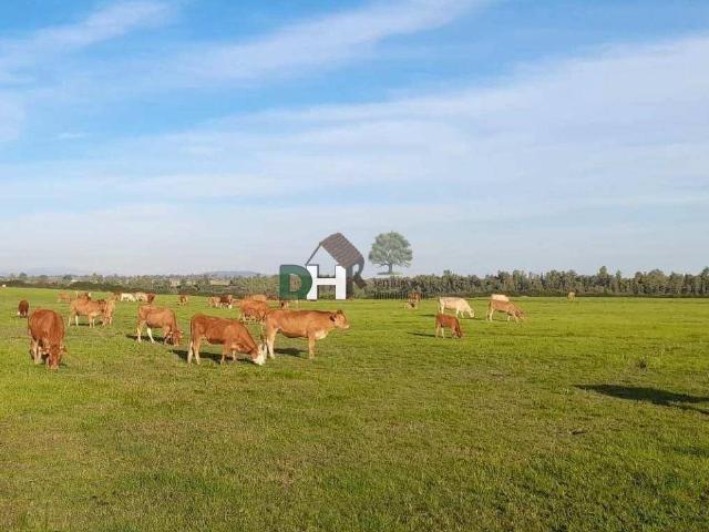 Terreno en Venta en Cáceres