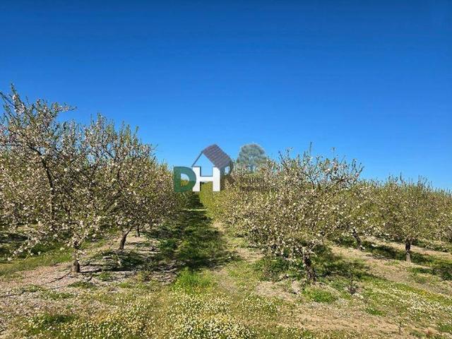Terreno en Venta en Cáceres