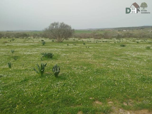 Terreno en Venta en Cáceres
