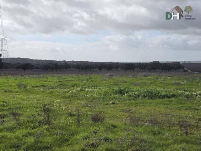 Terreno en Venta en Cáceres
