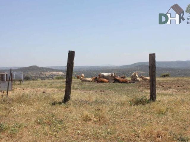 Terreno en Venta en Cáceres